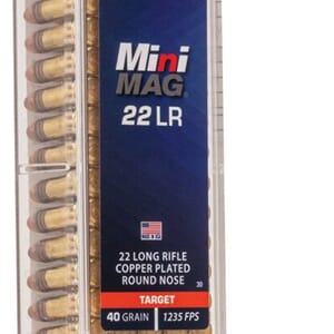 CCI MINI MAG HP 22 LR (100 pk.)