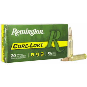 Remington 308 Win Core-Lokt 180 SP (20 pk.)