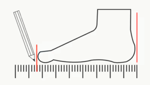 CF48559900LA_size.png CF48559900LA_size.png