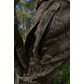 110756016003200_3.png