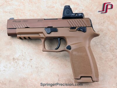 SP0245 Sig M17 RMR2(1)_1.jpg