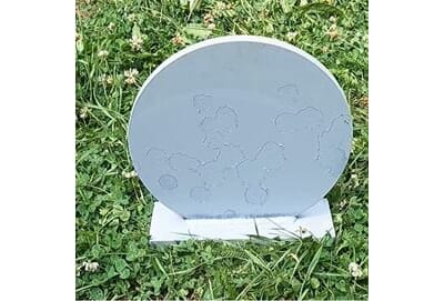 TS01004 TS01004_2.JPG