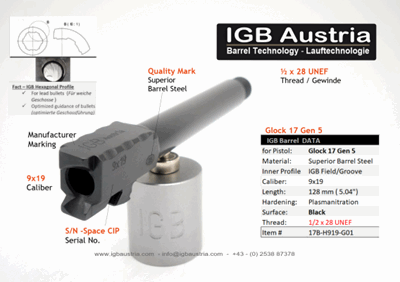 17B-P919-G01 17B-H919-G01-a.png